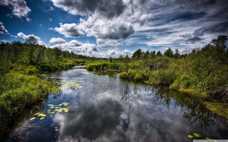 River in Marshland — Blue, Dramatic