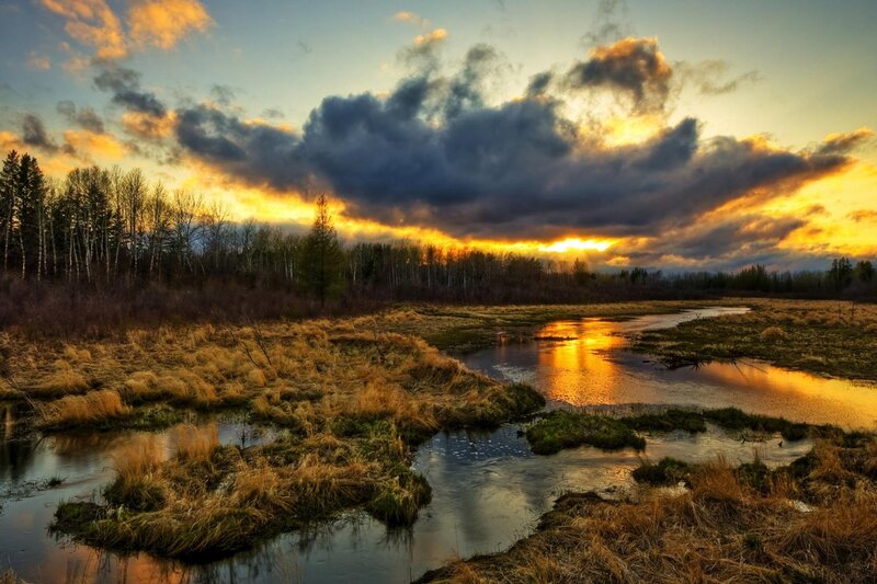 River in Marshland — Gold
