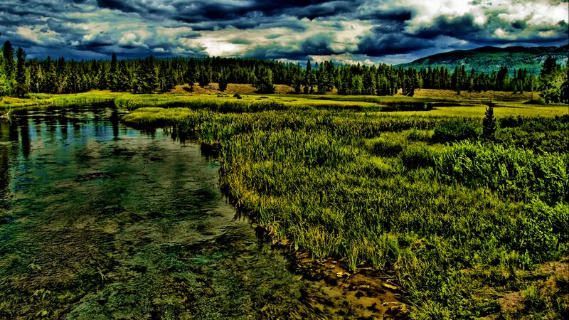 River in Marshland — Green, Dramatic