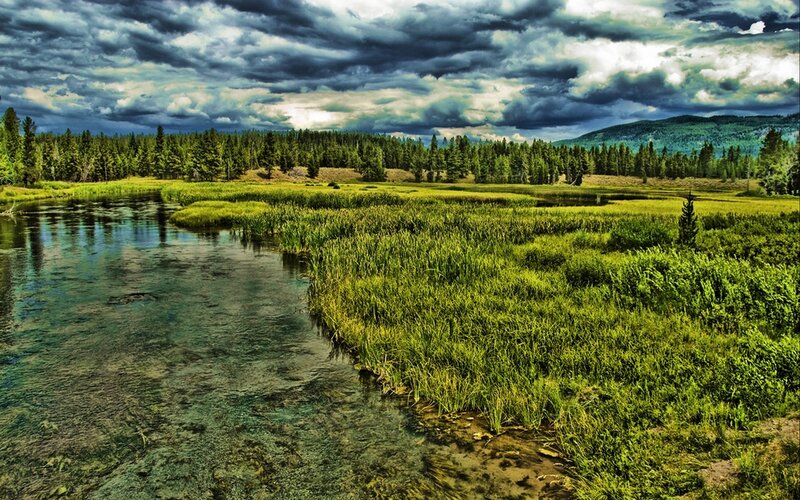 River in Marshland — Green