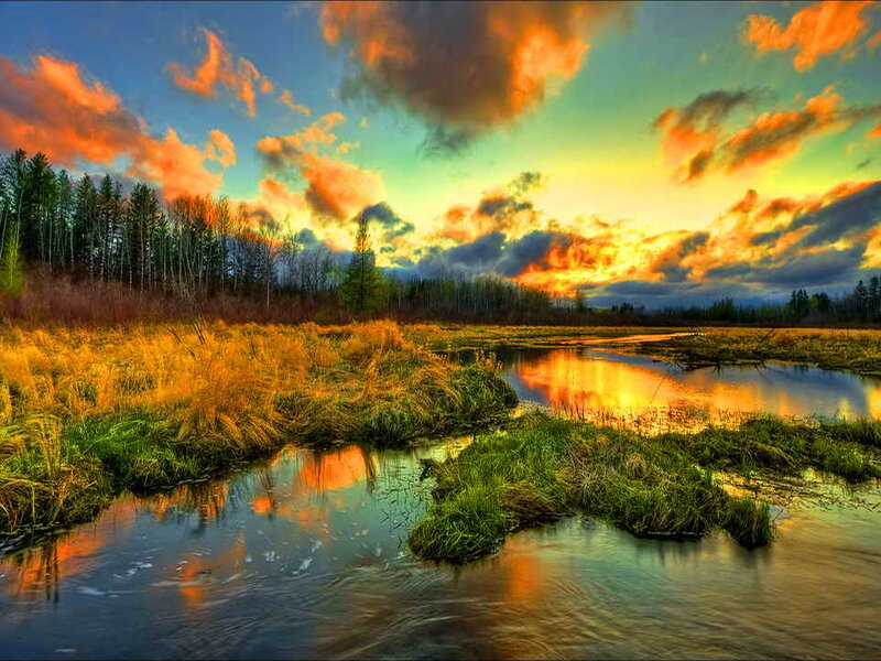 River in Marshland — Orange
