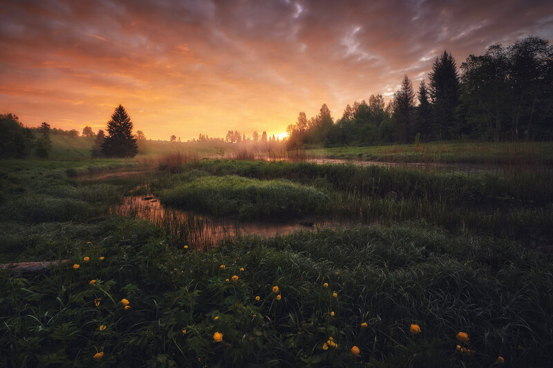River in Meadow at Sunrise