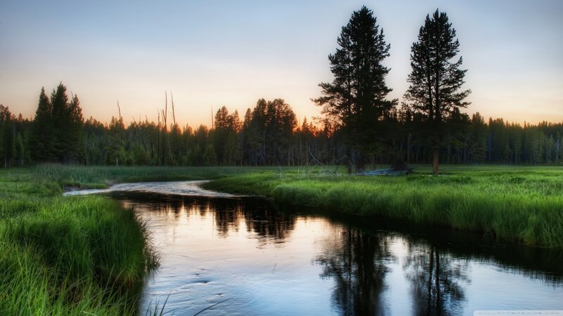 River in Meadow at Sunset