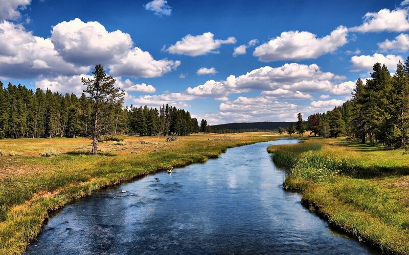 River in Meadow — Blue, Serene, Afternoon, Photograph, Trees
