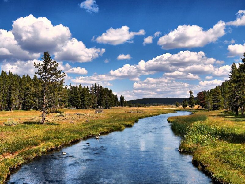 River in Meadow