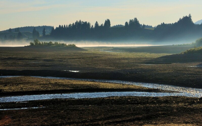 River in Misty Field — Brown