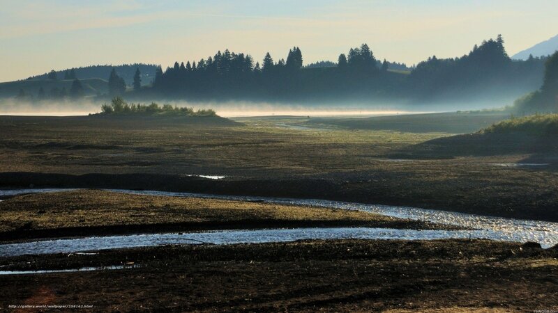 River in Misty Field