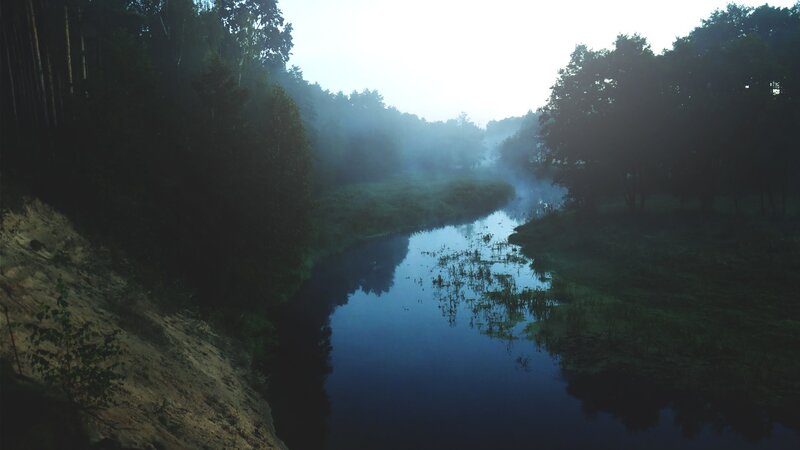 River in Misty Forest — Blue, Morning, Photograph