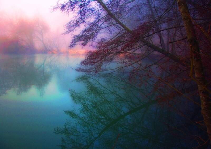 River in Misty Forest — Blue, Morning