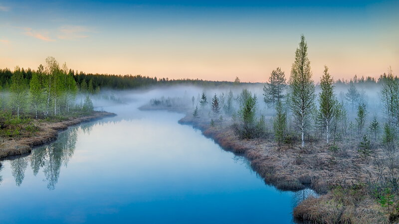 River in Misty Forest — Blue, Serene, Morning