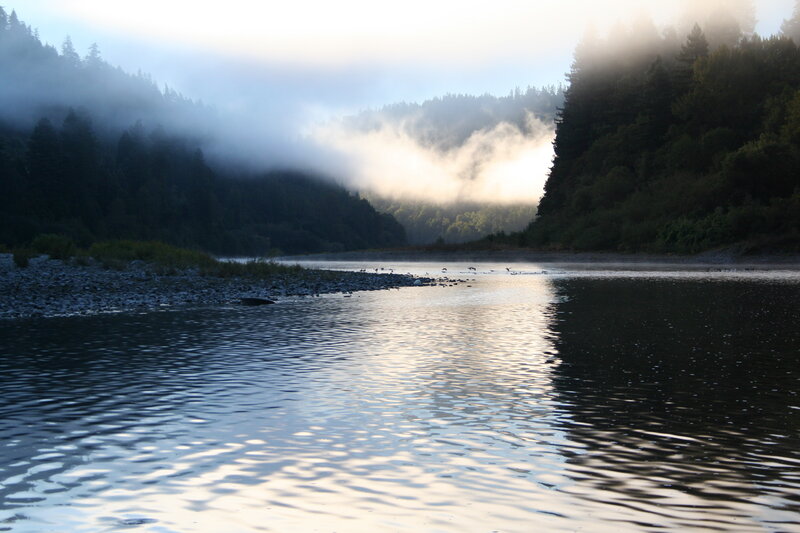 River in Misty Forest — Blue