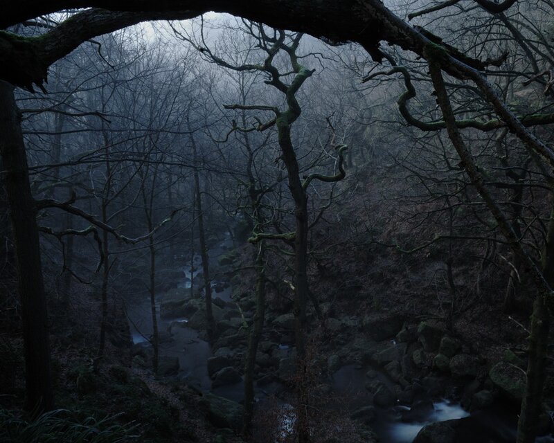 River in Misty Forest — Gray, Dark