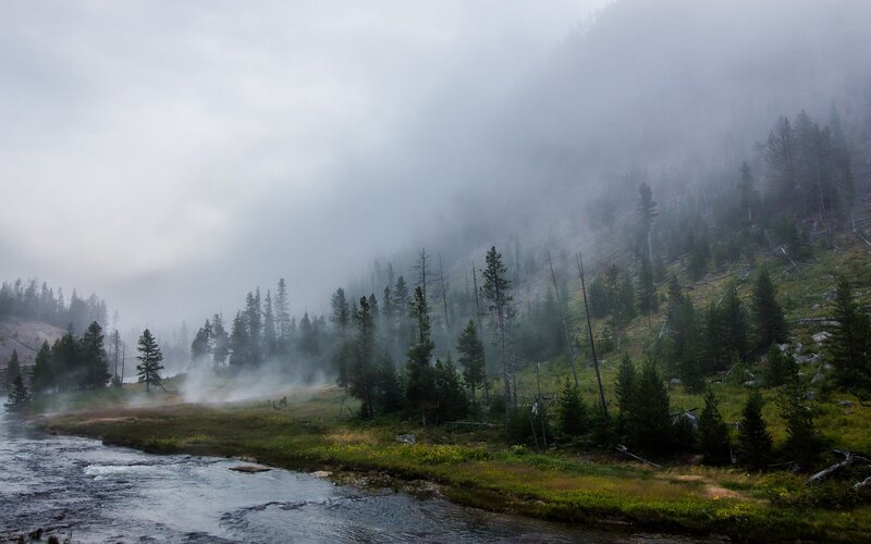 River in Misty Forest — Green, Morning, Photograph