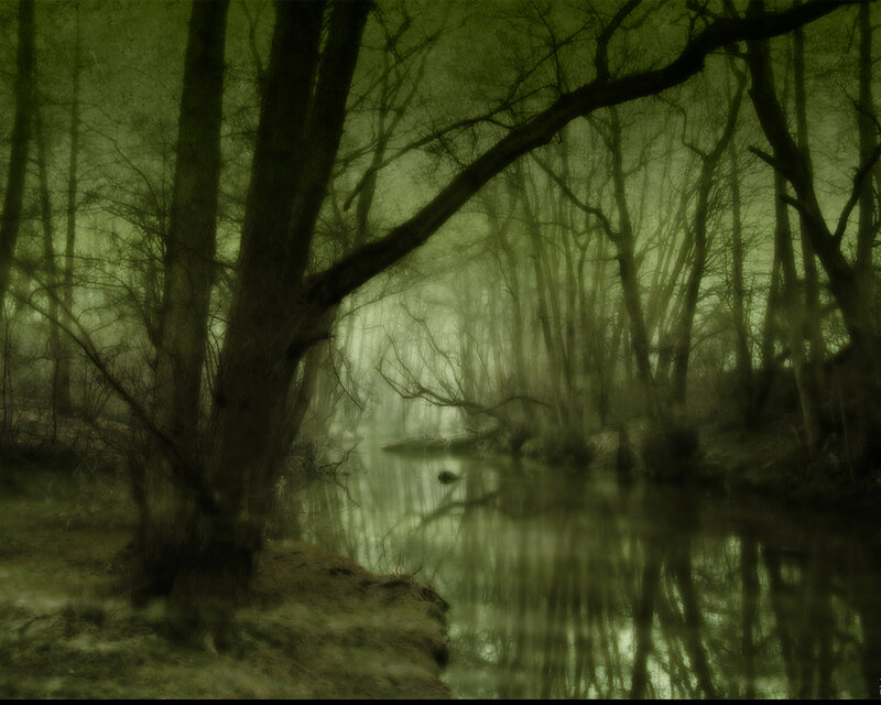 River in Misty Forest — Green, Mysterious, Night