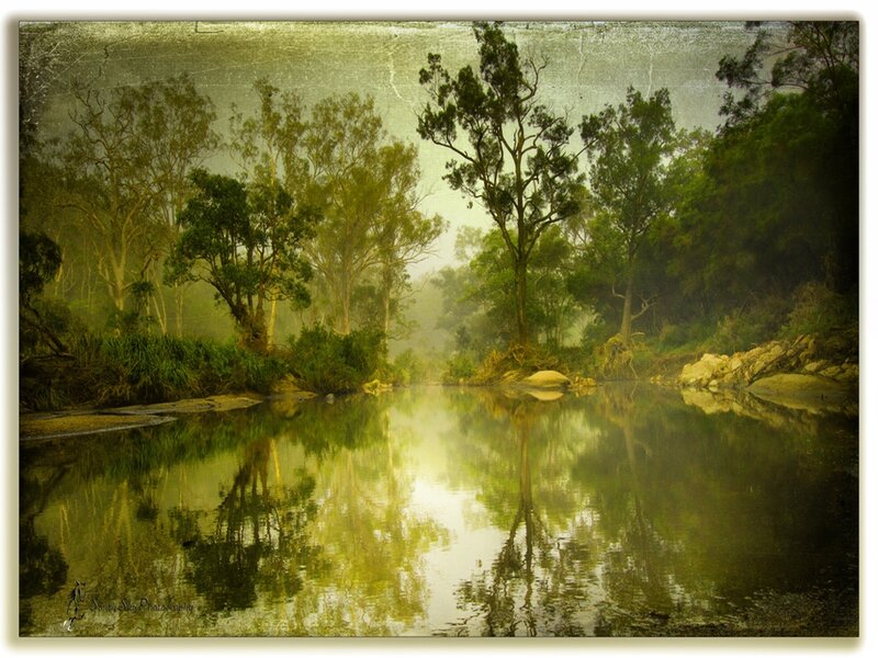 River in Misty Forest — Green, Serene