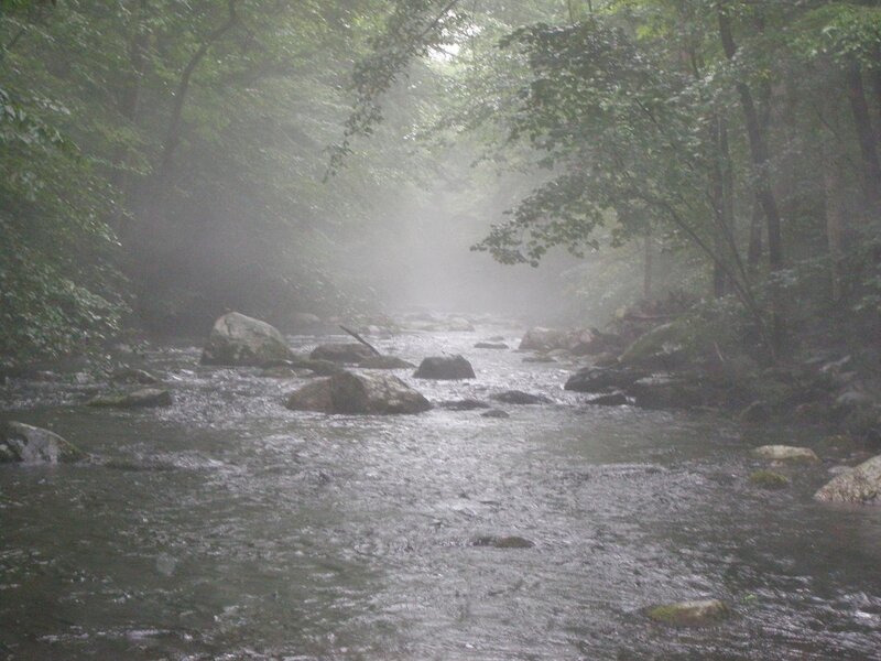 River in Misty Forest — Green