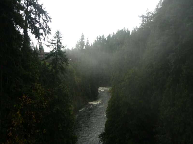 river in misty forest