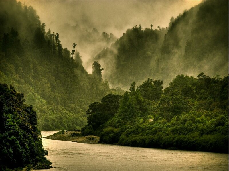 River in misty forest valley