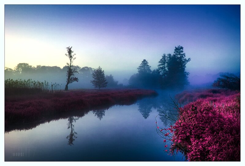 River in Misty Marsh