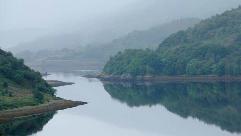 River in Misty Valley — Green