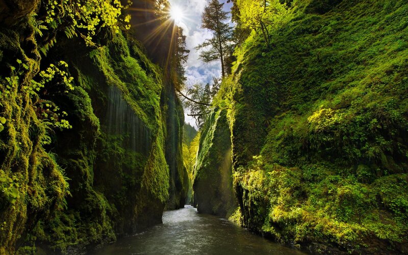 River in Mossy Canyon — Green, Serene