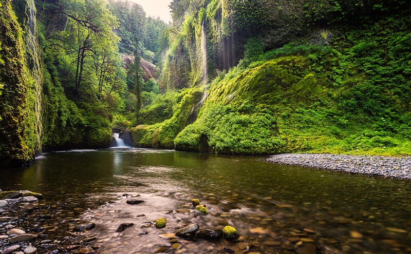 River in Mossy Canyon — Green
