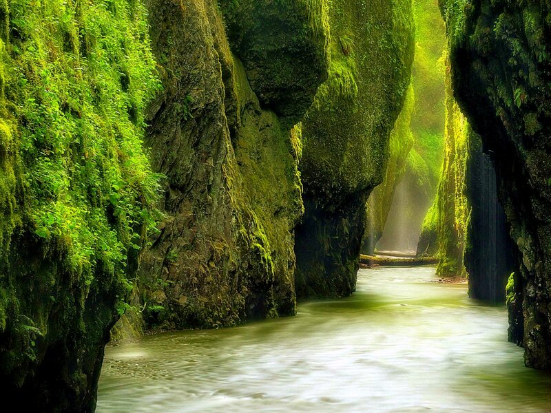 River in Mossy Canyon