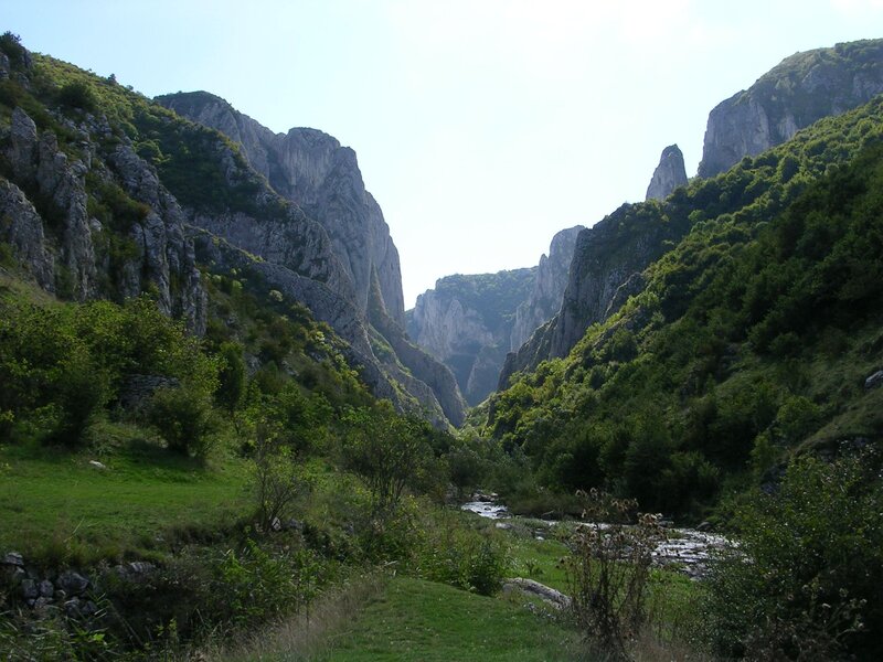 River in Mountain Canyon — Green, Serene, Afternoon