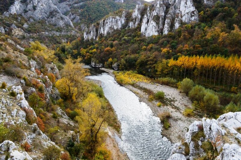 River in Mountain Canyon — Green, Serene, Autumn