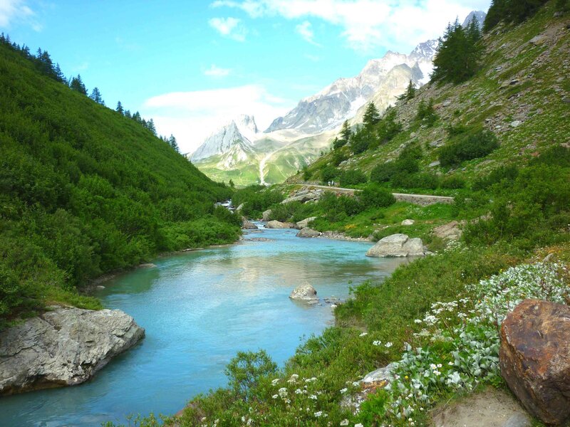 River in Mountain Valley — Blue, Serene, Summer, Photograph, Mountains, Trees, Flowers