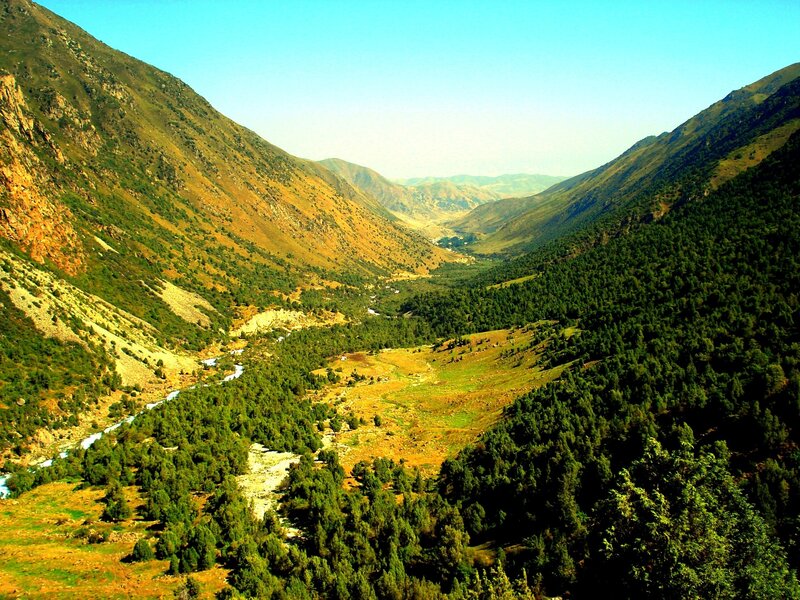 River in Mountain Valley — Green, Brown