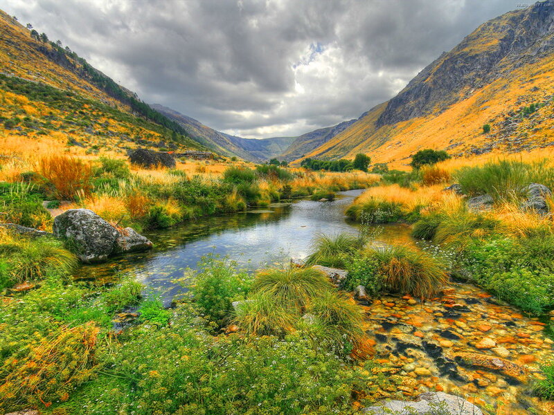 River in Mountain Valley — Green, Dramatic, Afternoon, Photograph