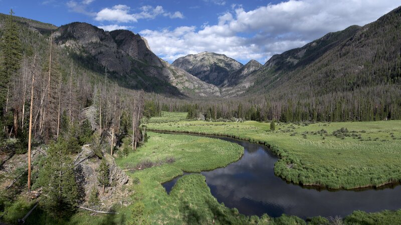 River in Mountain Valley — Green, Forest