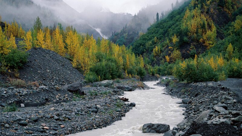 River in Mountain Valley — Green, Misty
