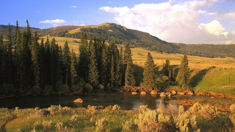 River in Mountain Valley — Green, Serene, Afternoon, Photograph, Trees, Hills