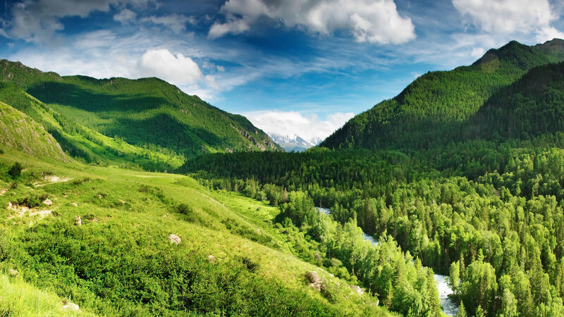 River in Mountain Valley — Green, Serene, Afternoon