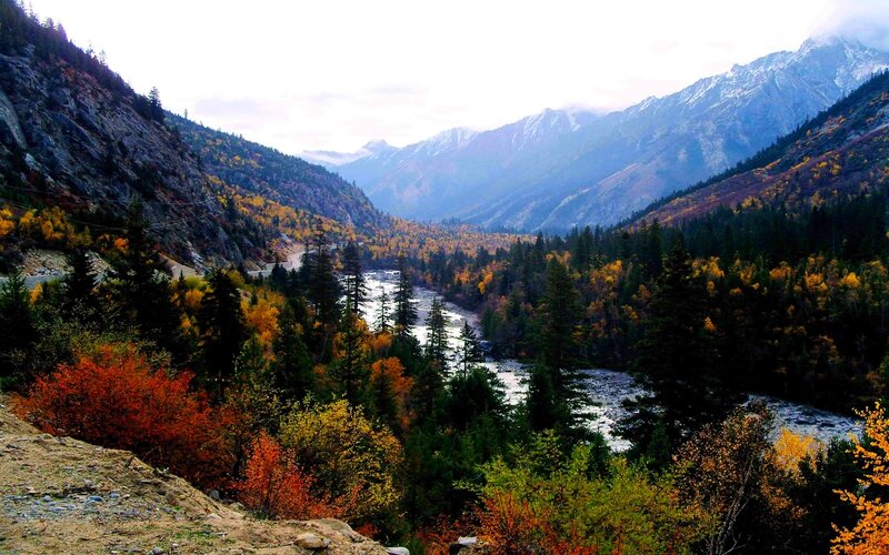 River in Mountain Valley — Green, Serene, Autumn