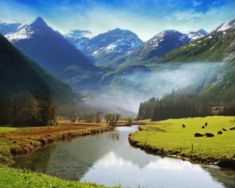 River in Mountain Valley — Green, Serene, Morning, Photograph, Mountains, Cows, Trees