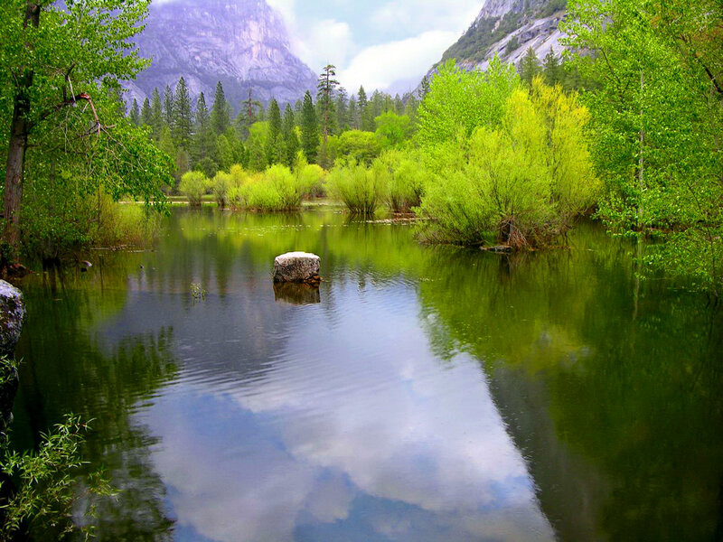 River in Mountain Valley — Green, Serene, Spring