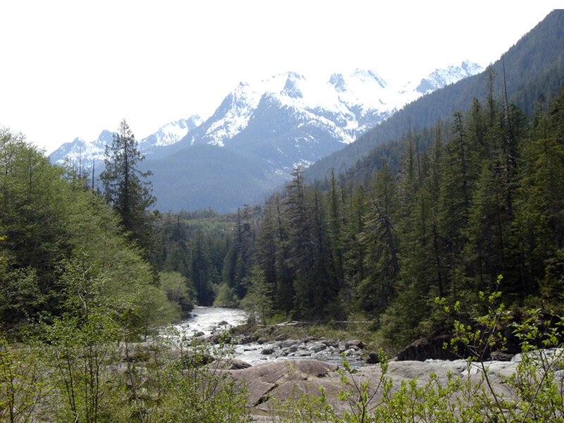 River in Mountain Valley — Green, Serene, Summer, Photograph, Snow-capped Mountains