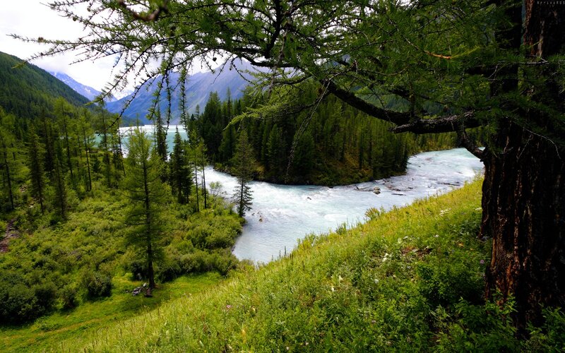 River in Mountain Valley — Green, Serene, Summer