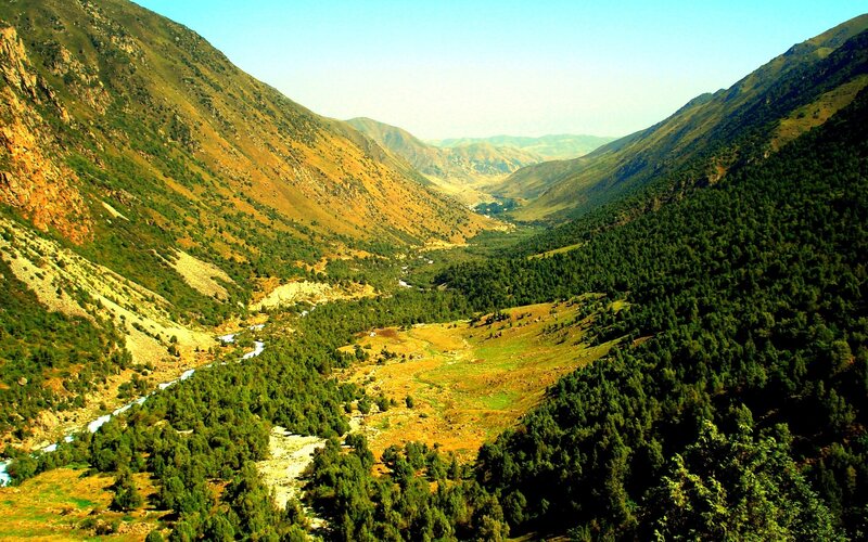River in Mountain Valley — Green, Trees
