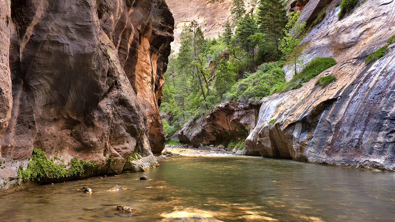 River in Narrow Canyon — Brown, Serene