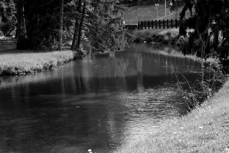 River in Park — Black, Serene