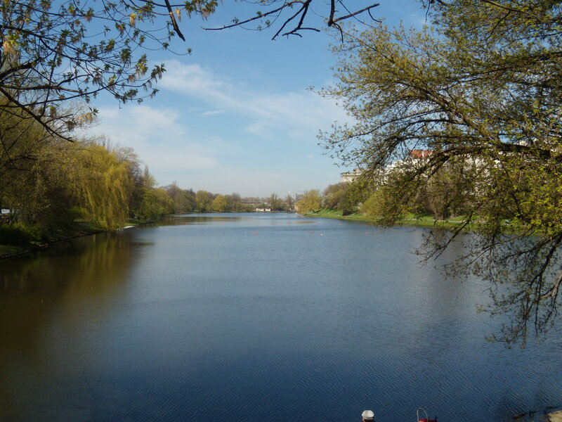 River in Park — Blue