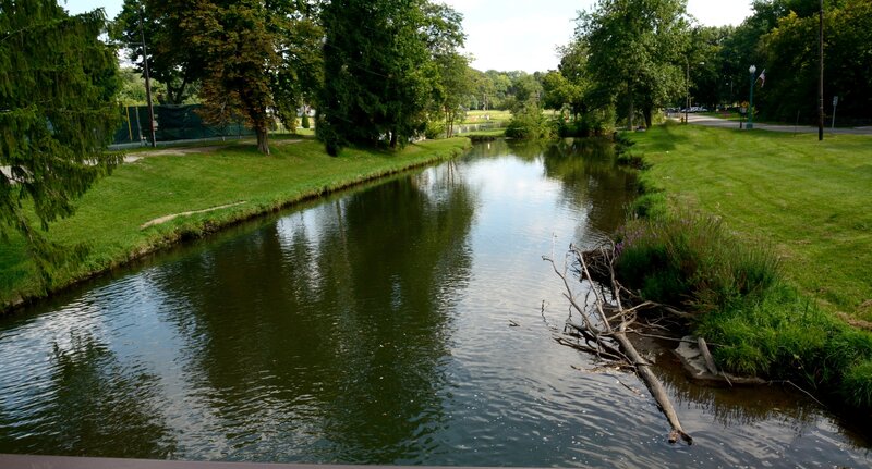River in Park — Green, Serene, Afternoon, Photograph, Trees, Grass, Driftwood