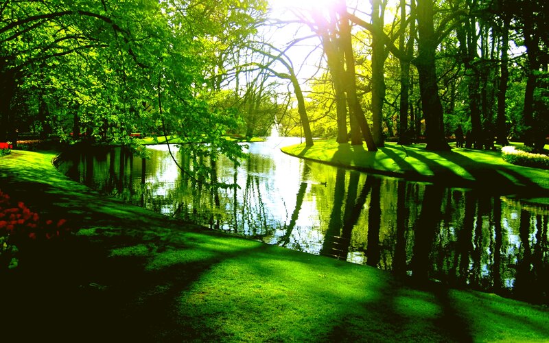 River in Park — Green, Serene, Afternoon, Photograph, Trees, Grass, Flowers