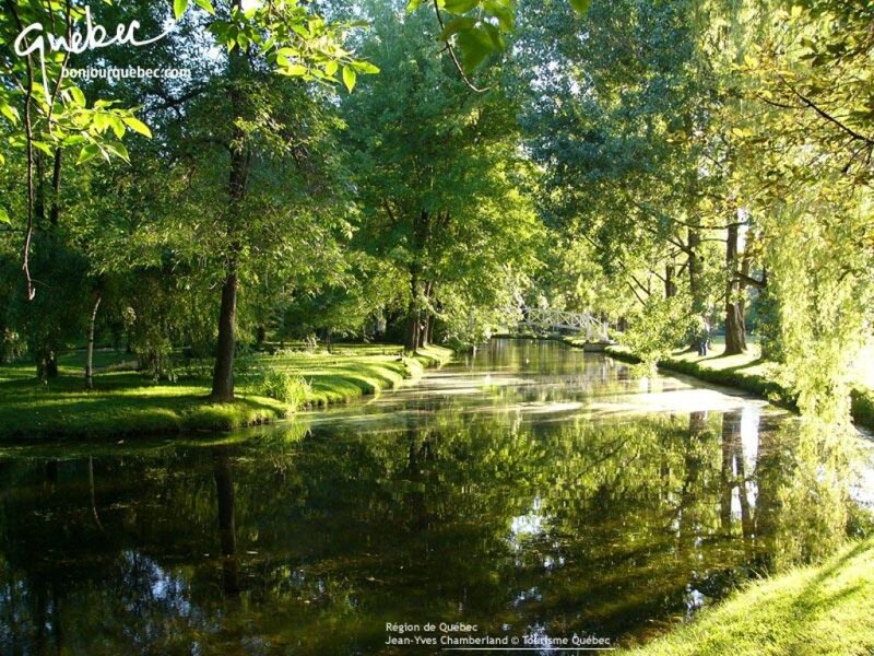 River in Park — Green, Serene, Afternoon