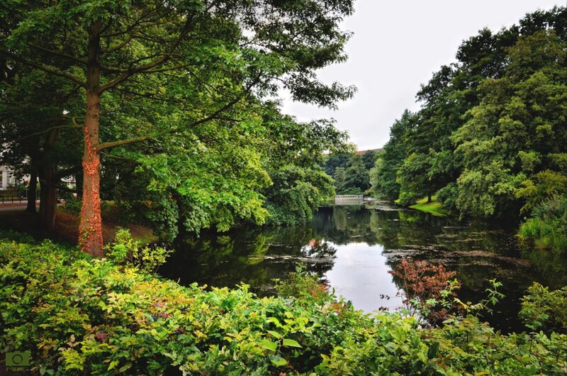 River in Park — Green, Serene