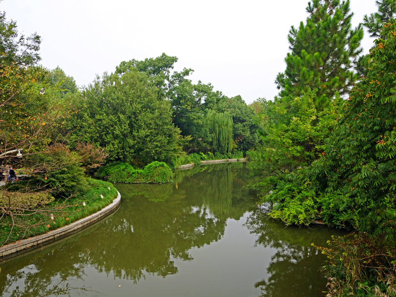 River in Park — Green